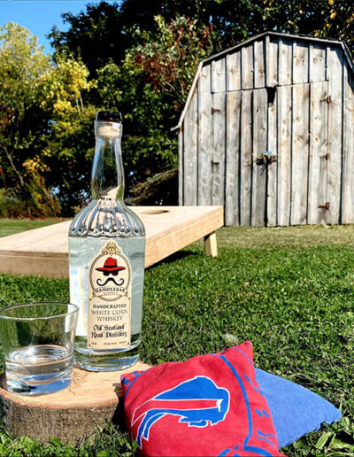 Handlebar Whiskey sits in backyard among corn-hole and Buffalo Bills bean bags