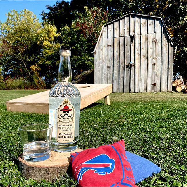 Handlebar Whiskey sits in backyard among corn-hole and Buffalo Bills bean bags