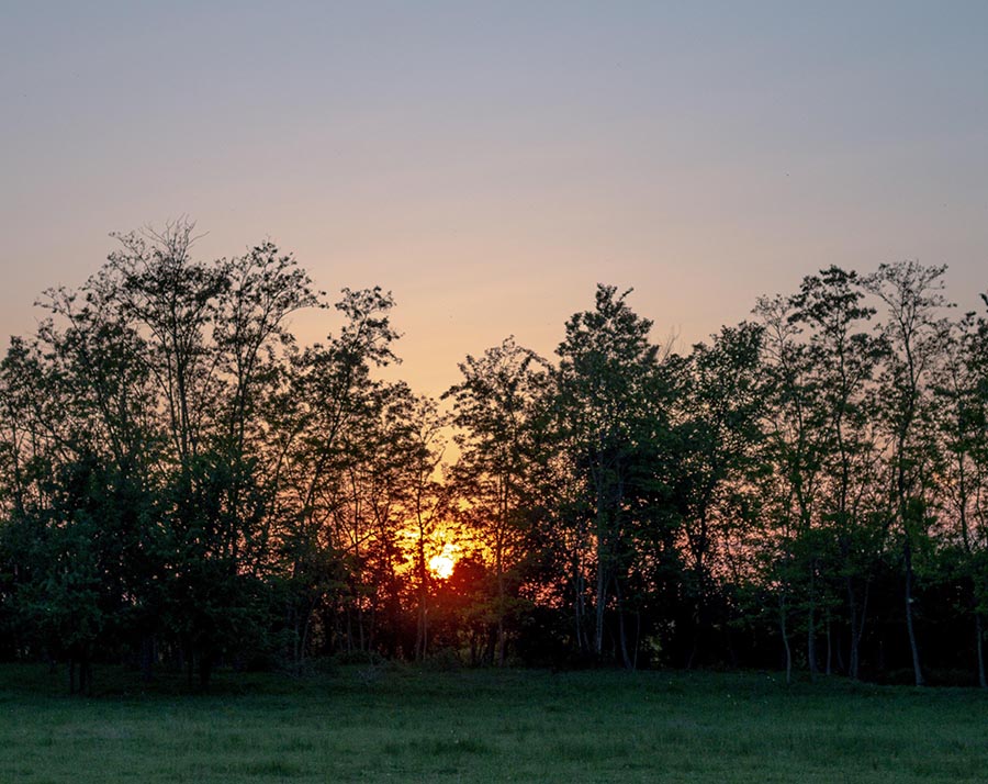 Country Sunset